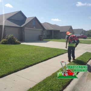 lawn care and mowing