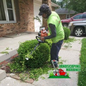 Diseño sin título (56)