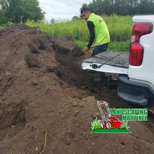 Diseño sin título (81)