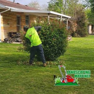 Trimming small bushes
