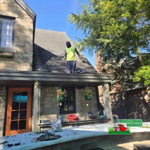 "Martinez Landscaping offers professional gutter cleaning to prevent clogs and protect your home from water damage. Our team carefully removes leaves and debris, ensuring proper flow and increased durability for your gutters. Trust us to keep your home safe and clog-free."