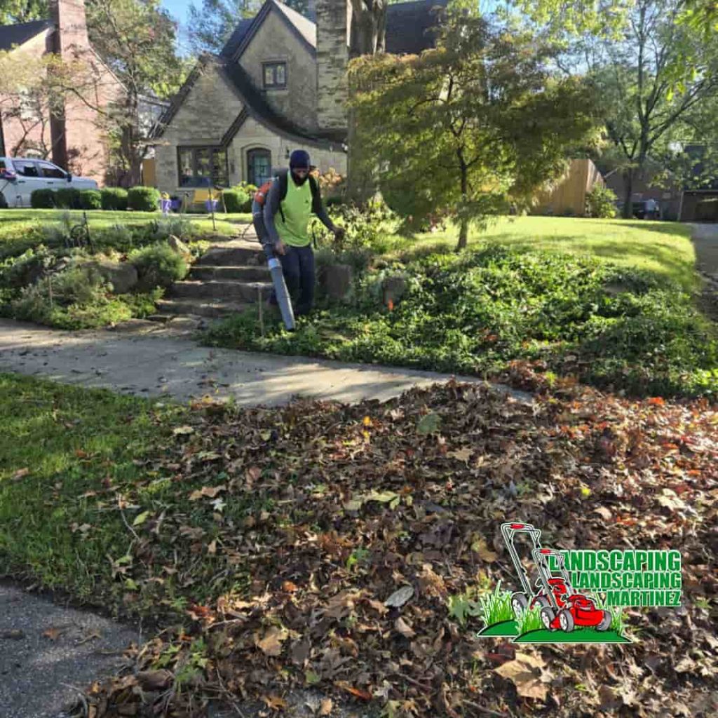 "Martinez Landscaping offers efficient leaf removal services to keep your yard clean and tidy all year round. Our team removes accumulated leaves quickly and professionally, leaving your lawns spotless and ready for any season. Trust us for a leaf-free yard!"