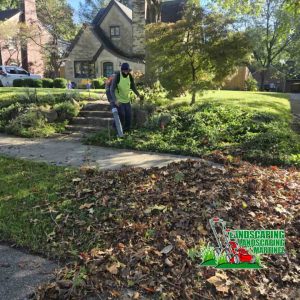 "Martinez Landscaping offers efficient leaf removal services to keep your yard clean and tidy all year round. Our team removes accumulated leaves quickly and professionally, leaving your lawns spotless and ready for any season. Trust us for a leaf-free yard!"